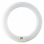 Люминесцентная лампа кольцевая Philips TL-E Circular 22W/54-765 T9 G10q, 216mm