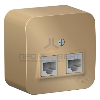 Розетка 2-ая компьютерная RJ45 кат.5E Blanca Schneider Electric титан изол.пластина