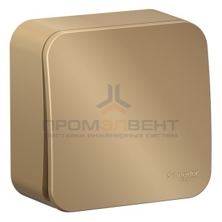 Кнопочный выключатель с самовозвратом (cх.1) Blanca Schneider Electric 10А титан изол.пластина